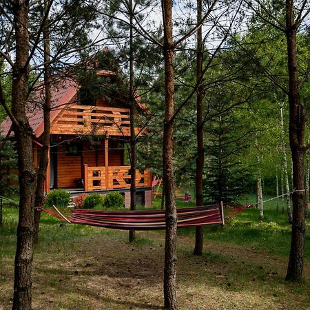 Borowa Chatka Borowy Mlyn Dış mekan fotoğraf